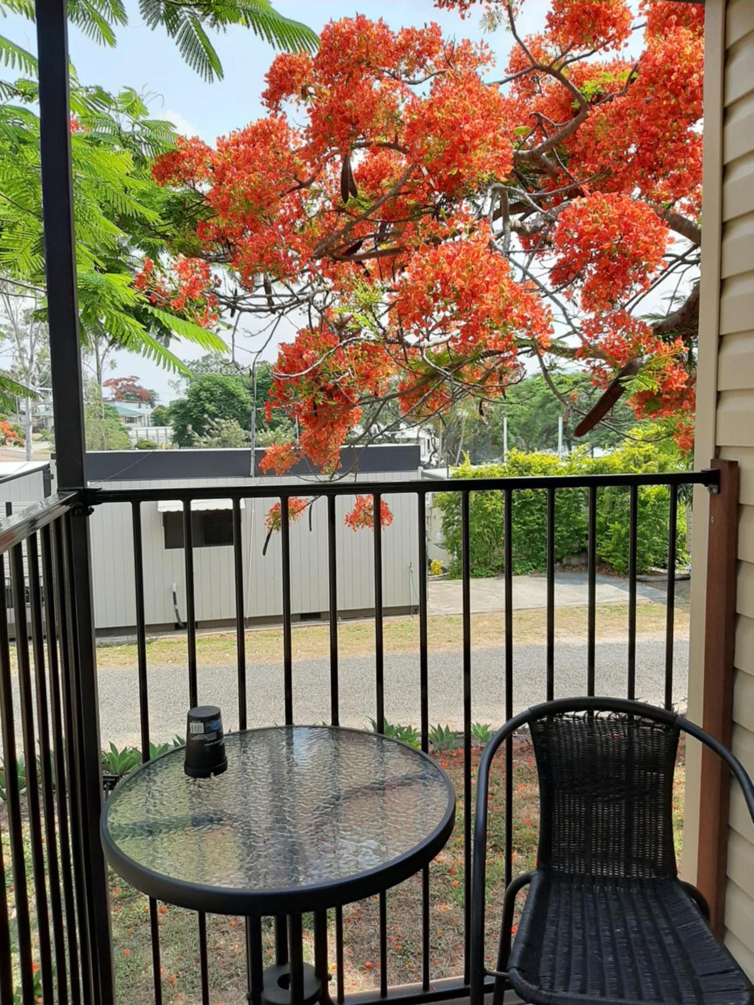 Mt Larcom Tourist Park Hotel Mount Larcom Luaran gambar