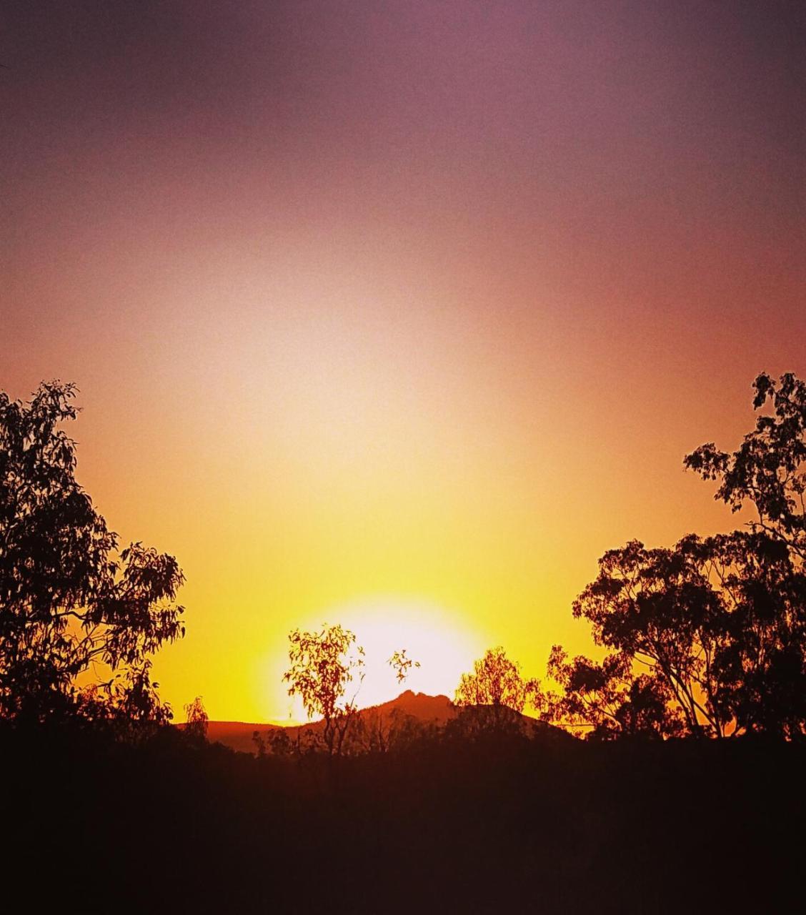 Mt Larcom Tourist Park Hotel Mount Larcom Luaran gambar