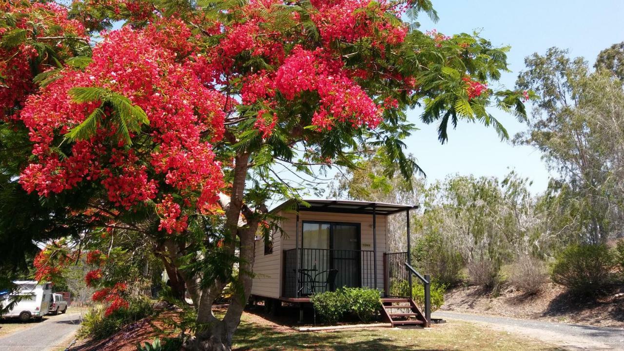 Mt Larcom Tourist Park Hotel Mount Larcom Luaran gambar