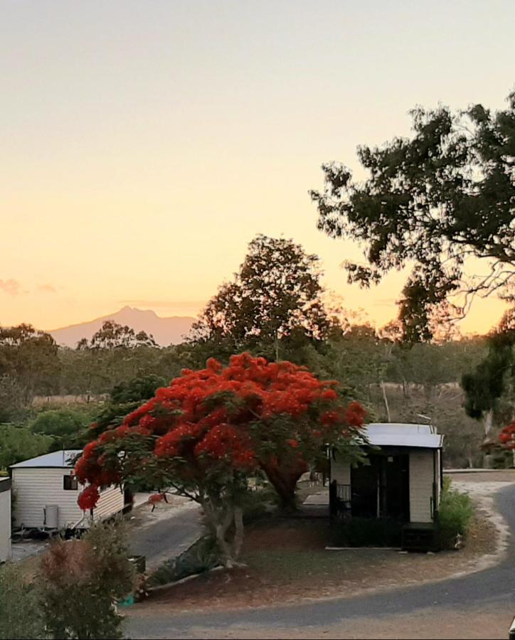 Mt Larcom Tourist Park Hotel Mount Larcom Luaran gambar